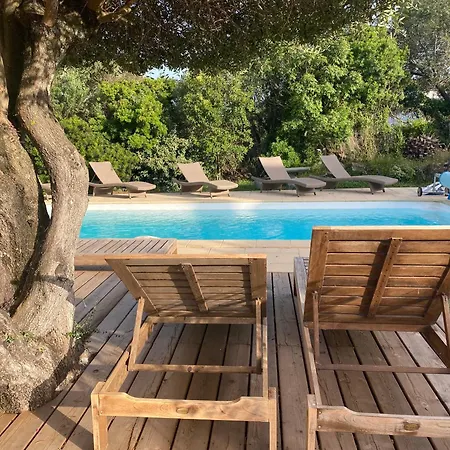 La Arghia ,piscine Privée Vecchio *