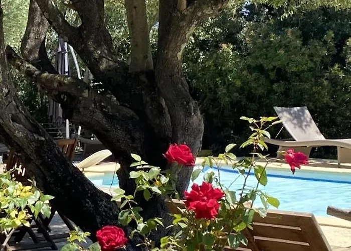 Feriehus Aletti Mj Piscine Privee Vecchio Porto-Vecchio (Corsica)